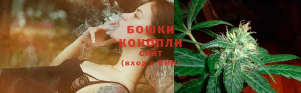 ешки Протвино