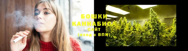 крисы Ельня