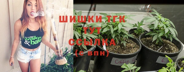 ешки Протвино